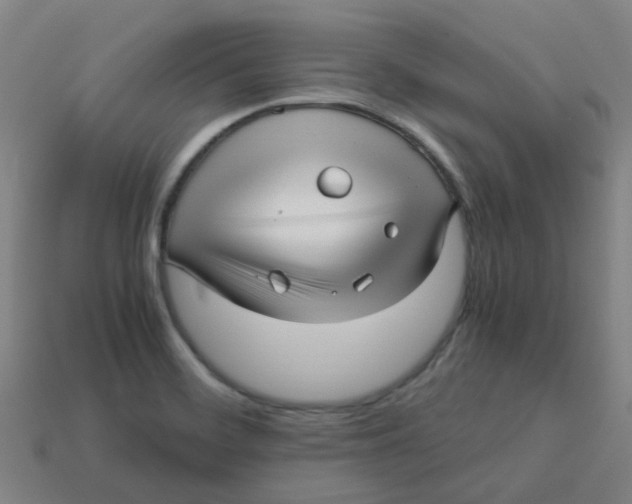 X0000113251468200910081309