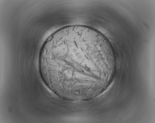 X0000113251469200910081308