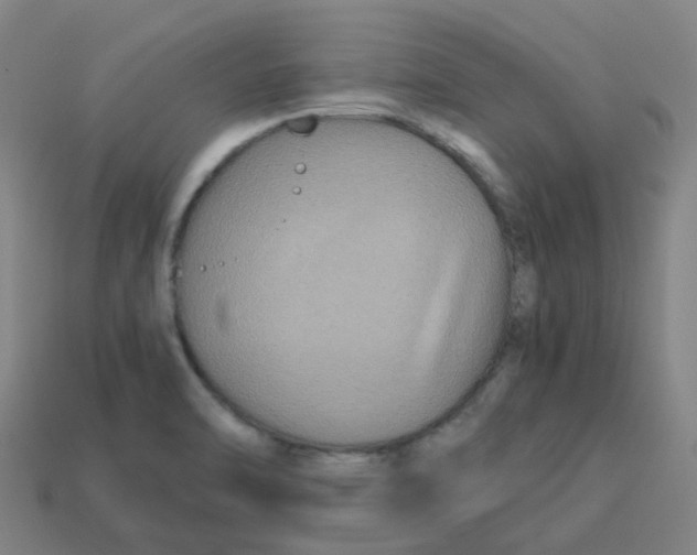 X0000113251470200910081308