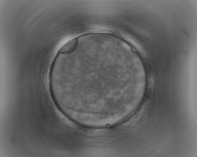 X0000113251471200910081308