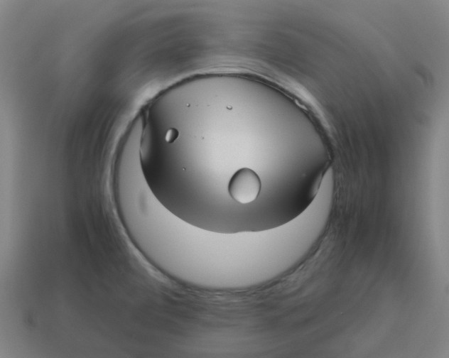 X0000113251472200910081308