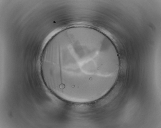 X0000113251474200910081308