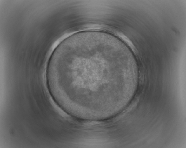 X0000113251475200910081308