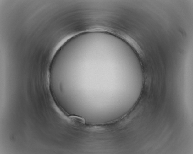 X0000113251476200910081308