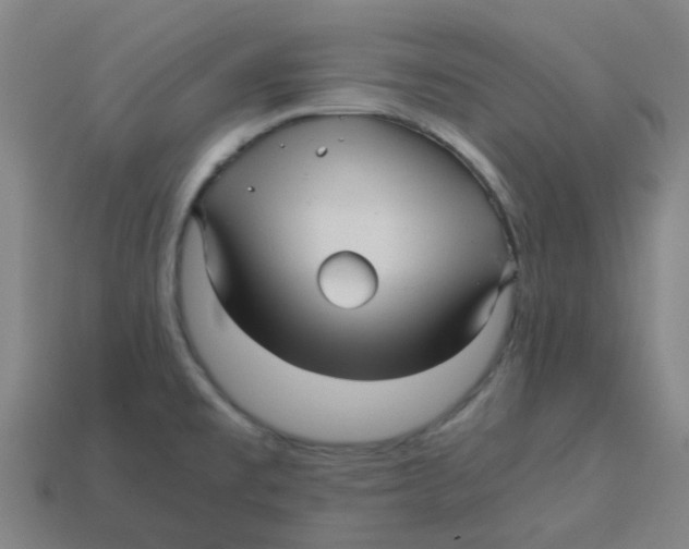 X0000113251477200910081308