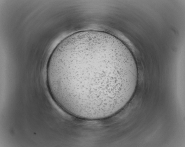 X0000113251479200910081308