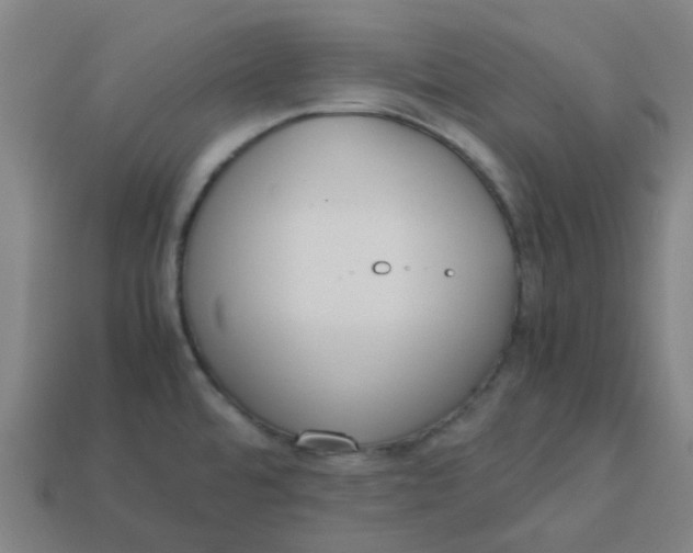 X0000113251480200910081308