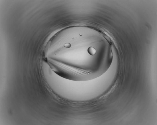 X0000113251481200910081308