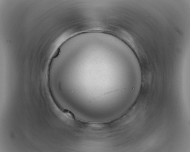 X0000113251483200910081308