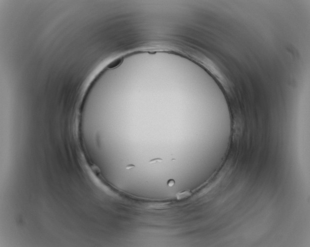 X0000113251484200910081308