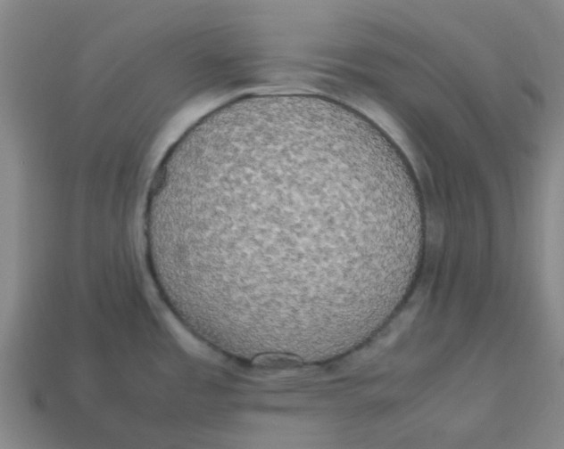 X0000113251485200910081308