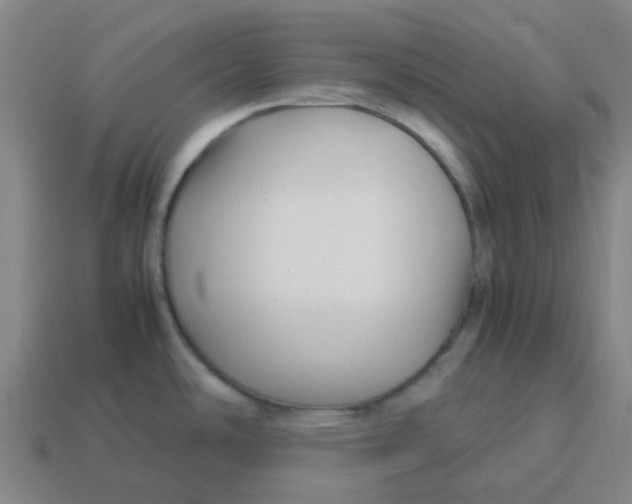 X0000113251486200910081308