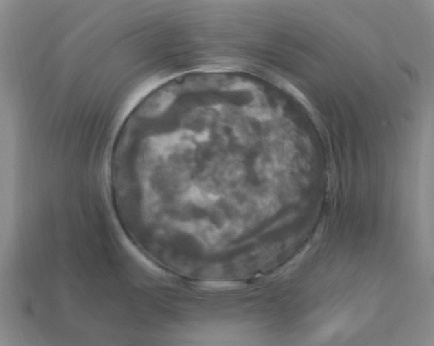 X0000113251487200910081308