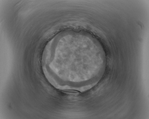 X0000113251489200910081307