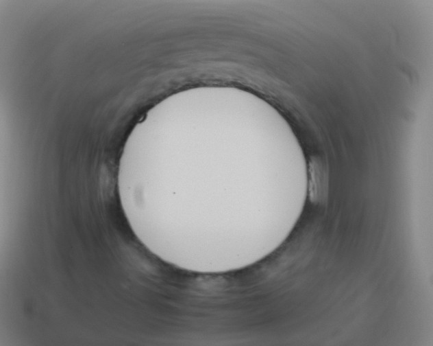 X0000113251491200910081307