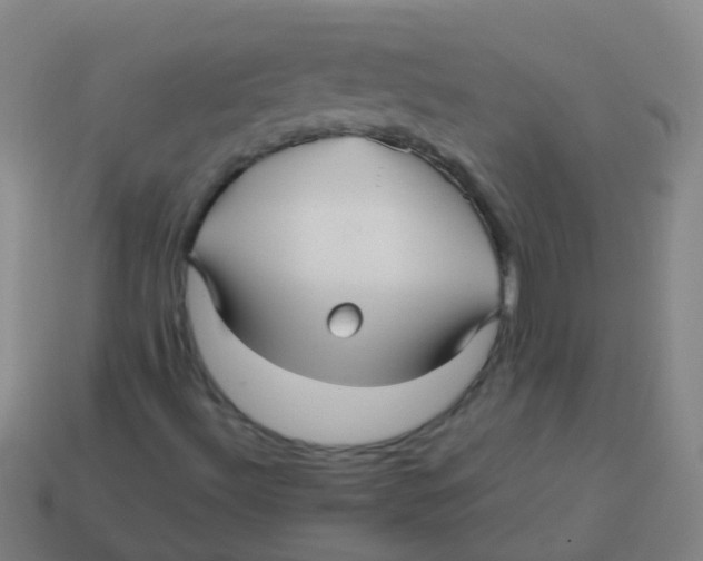 X0000113251492200910081307