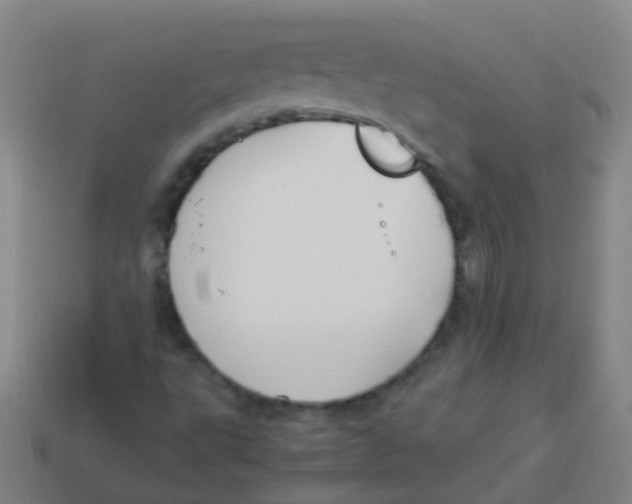 X0000113251495200910081307