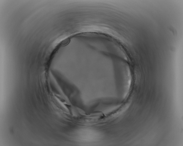 X0000113251497200910081307