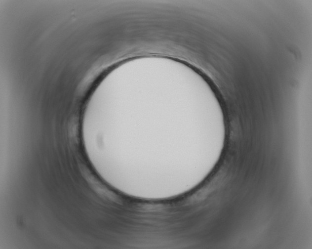 X0000113251499200910081307