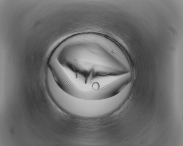 X0000113251500200910081307