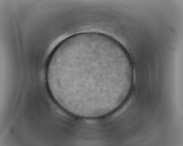 X0000113251501200910081307