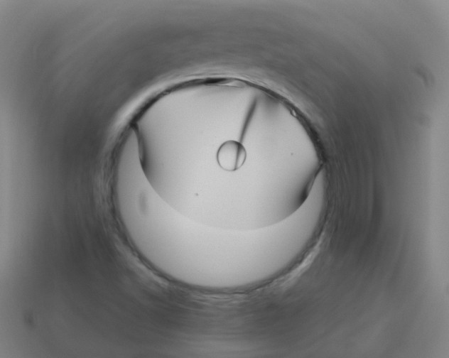 X0000113251502200910081307