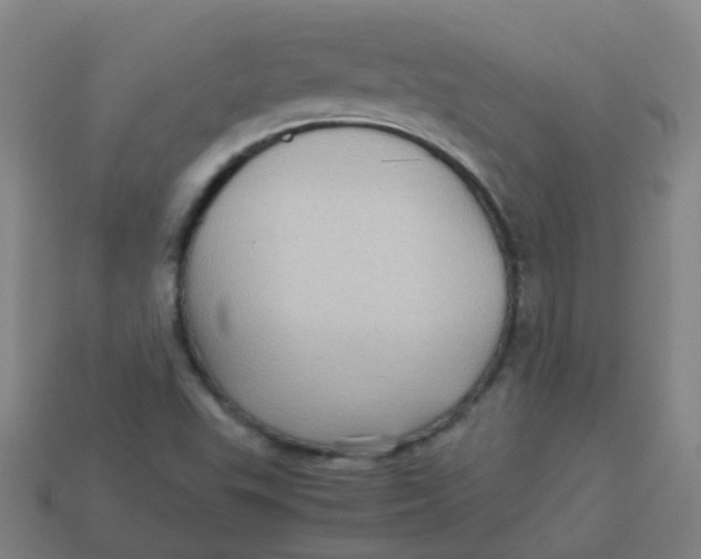 X0000113251503200910081307