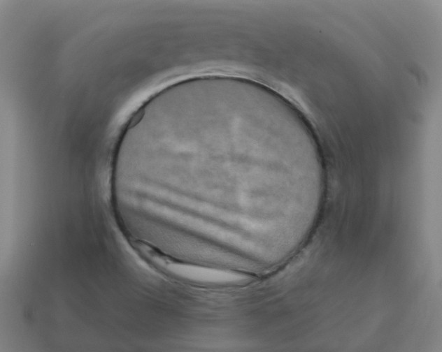 X0000113251504200910081307