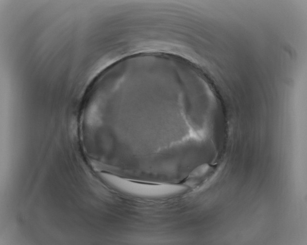 X0000113251505200910081307