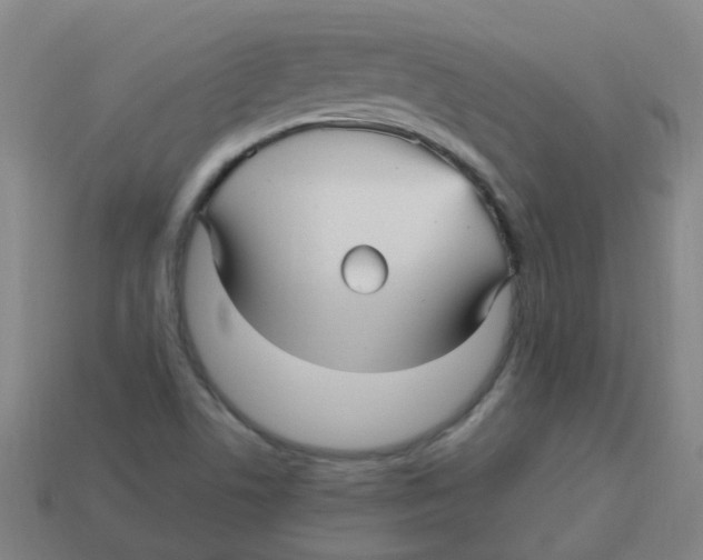 X0000113251506200910081307