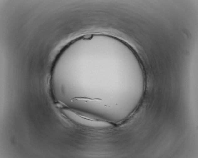 X0000113251507200910081308