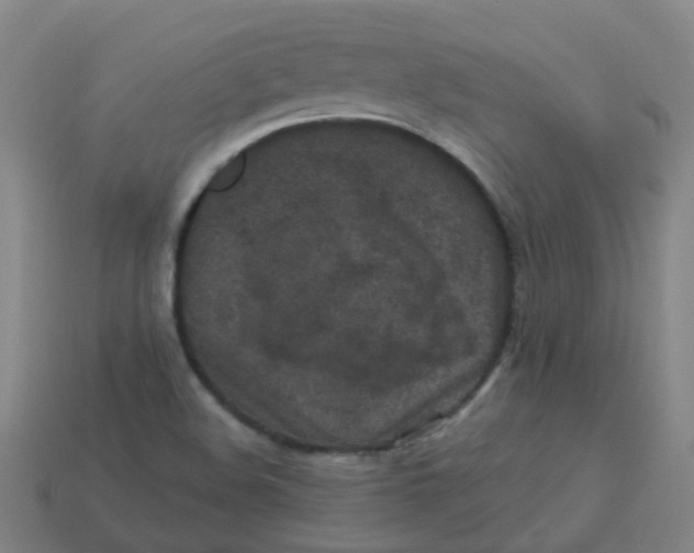 X0000113251508200910081308