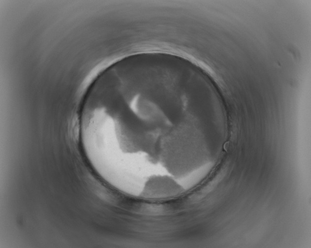 X0000113251509200910081308