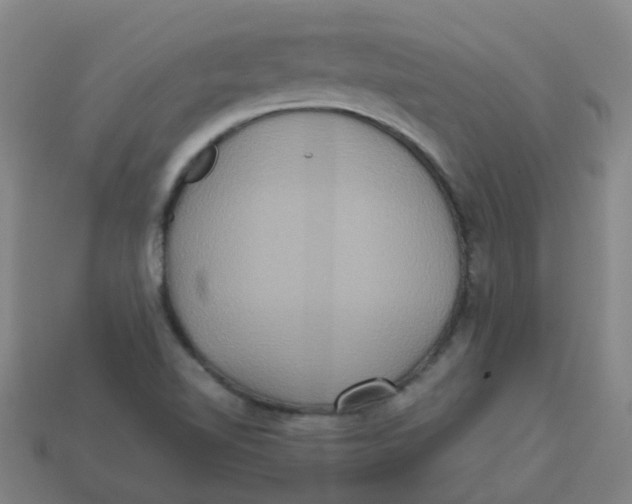 X0000113251510200910081308