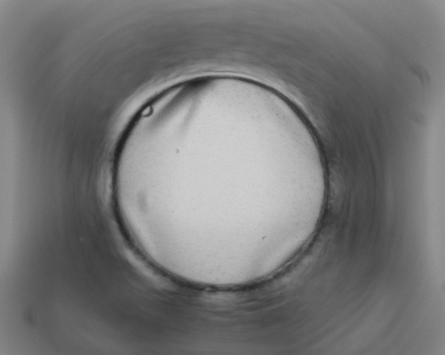 X0000113251511200910081308