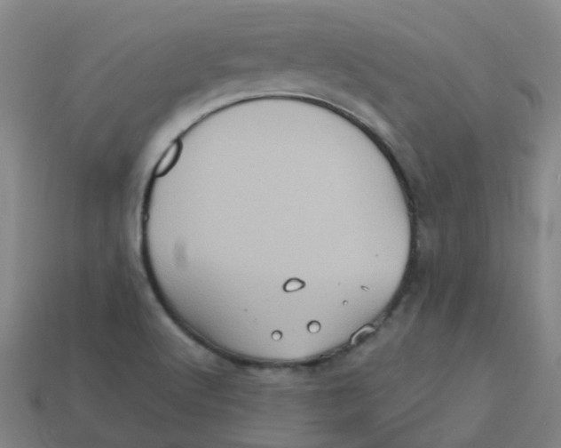 X0000113251512200910081308