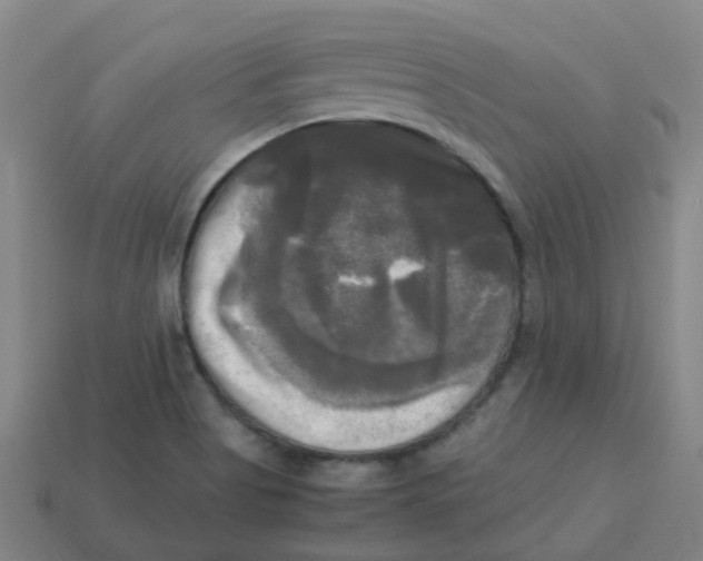 X0000113251513200910081308