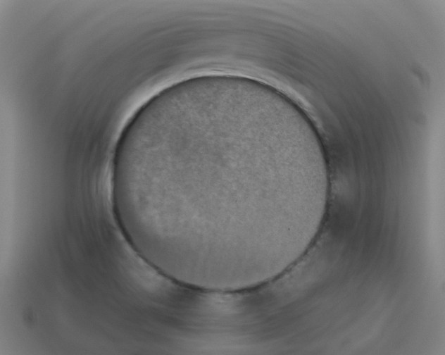 X0000113251514200910081308