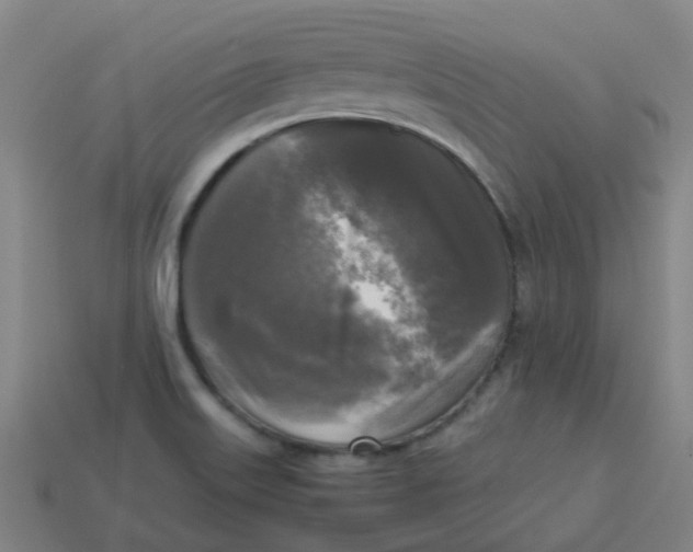 X0000113251515200910081308