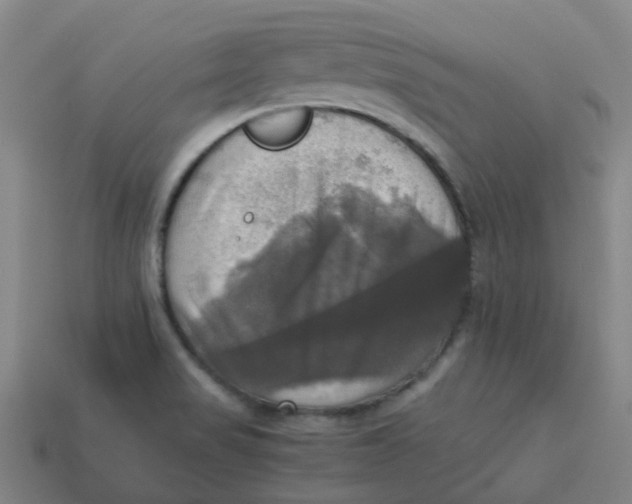 X0000113251517200910081308