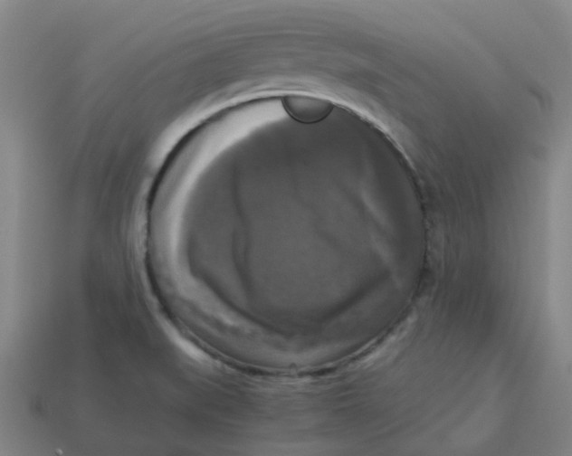 X0000113251519200910081308