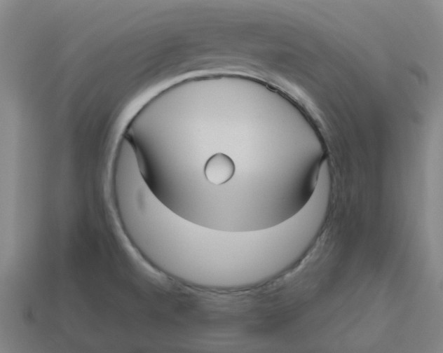 X0000113251520200910081308