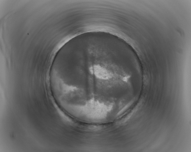 X0000113251521200910081308