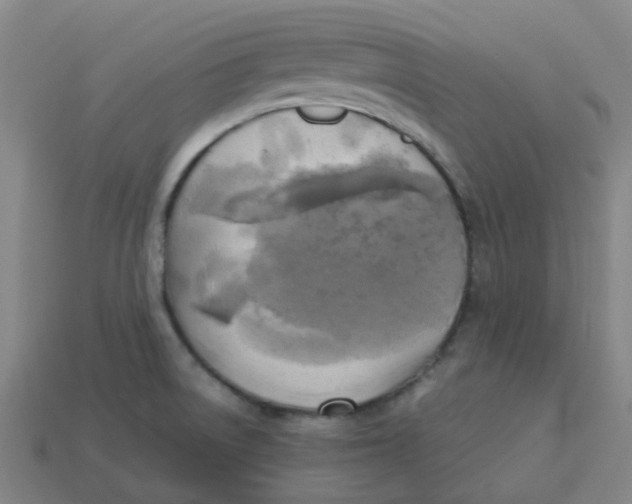 X0000113251522200910081308