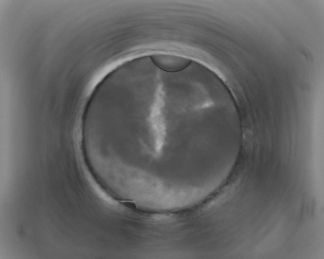 X0000113251523200910081308