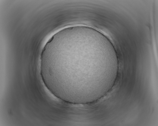 X0000113251524200910081308