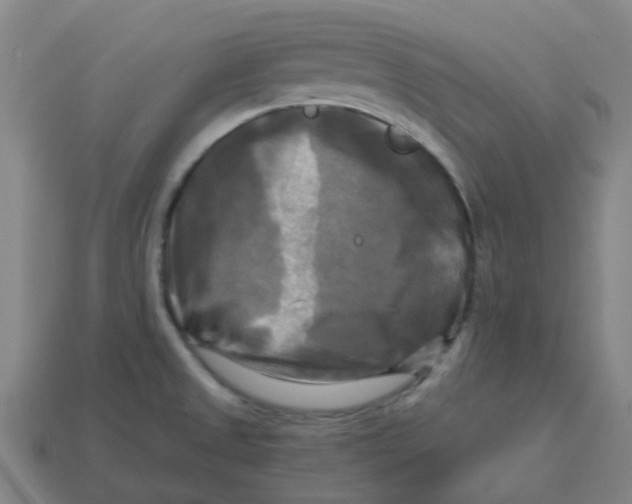 X0000113251525200910081308