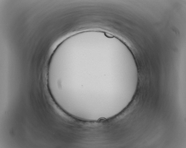 X0000113251526200910081308