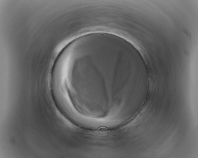 X0000113251527200910081308