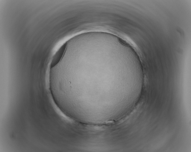 X0000113251528200910081308